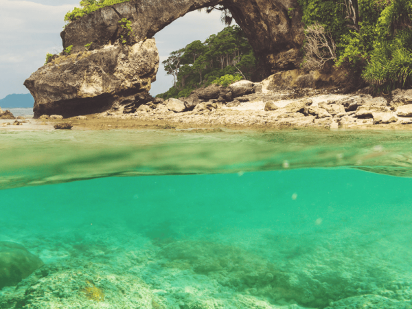 Exotic Andaman Package